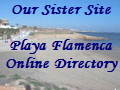 playa flamenca new logo