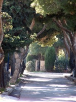 winding road punta prima 2