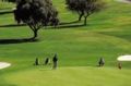 Golf_Course