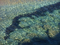 crystal clear water 3