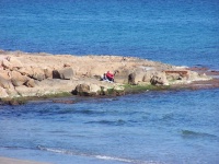 playa flamenca beach winter 2 (2)